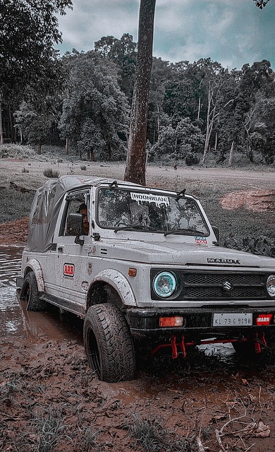 搭档通过 搭档通过