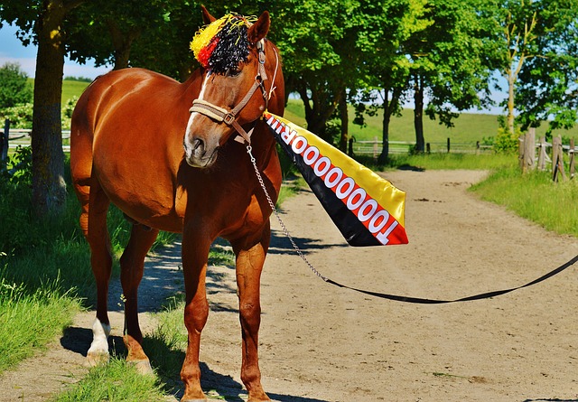 这一助攻 这一助攻