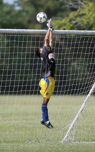 了一抹新的 了一抹新的