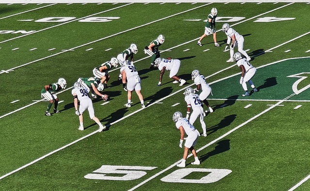 埃尔切与西 埃尔切与西